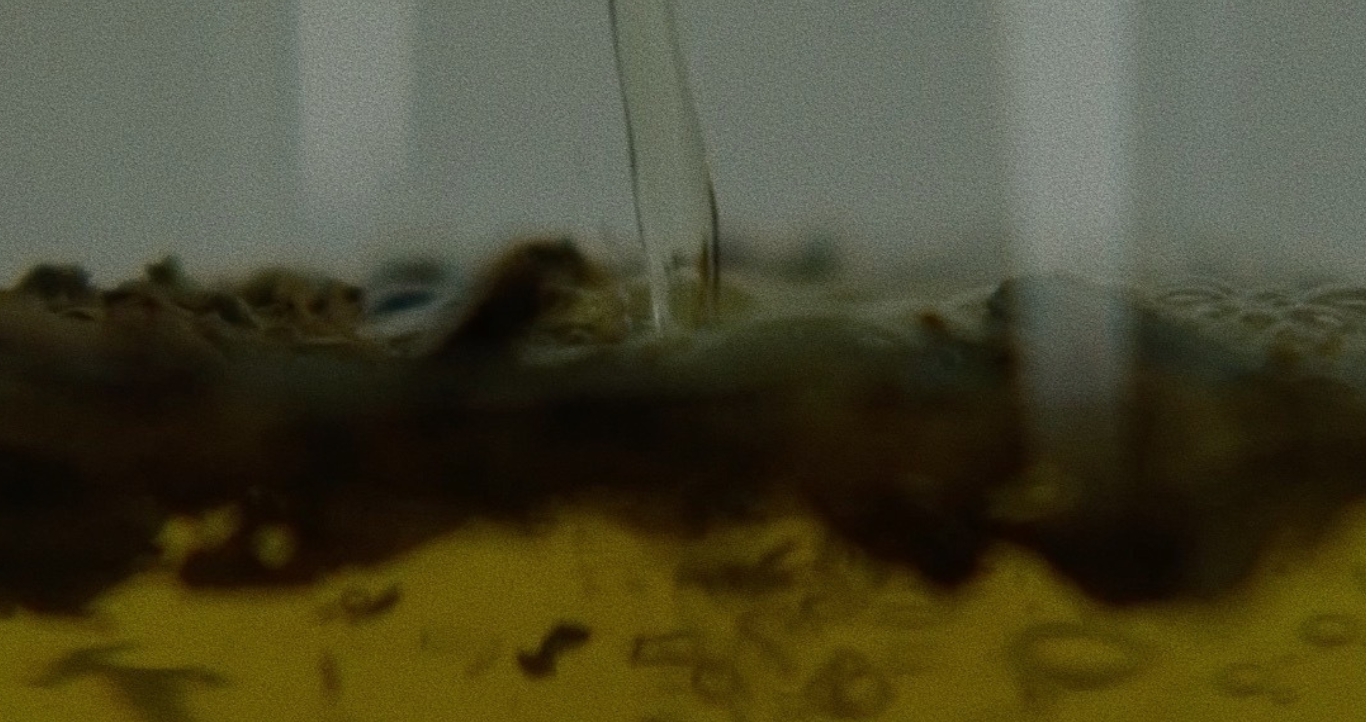 お茶の湯気